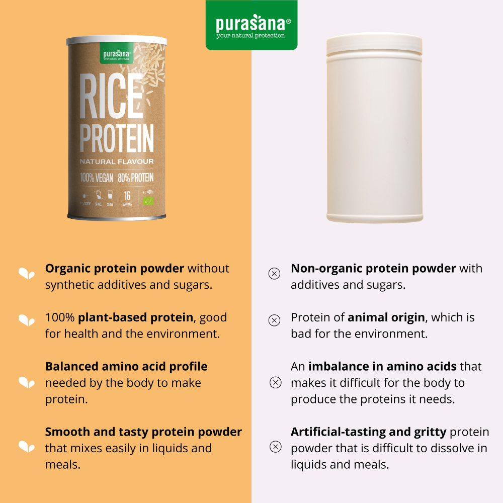 Rice Protein Natural