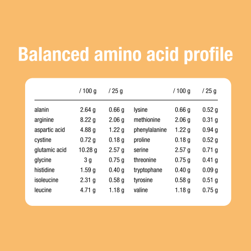 Pumpkin Protein Natural