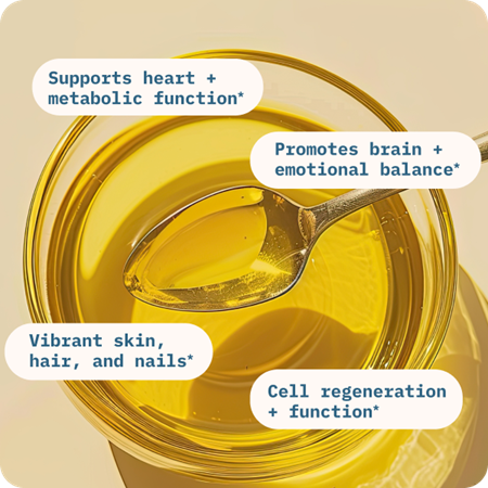 Balance Oil (Omega 6 + 3)