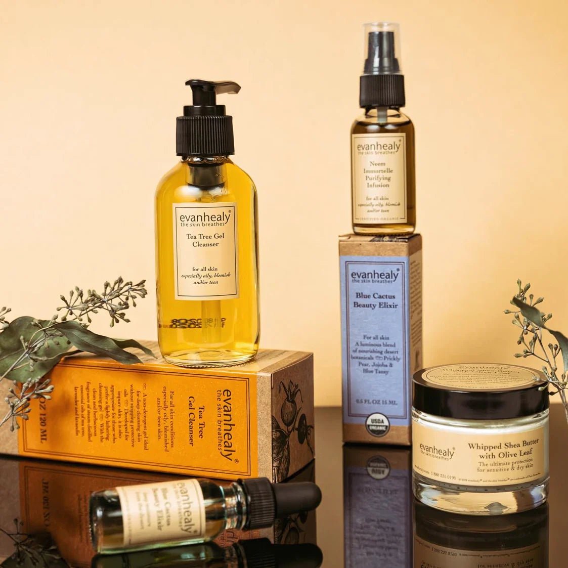 evanhealy - B. Health Shop
