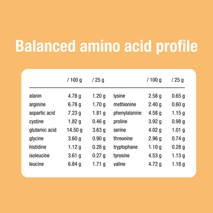 Rice Protein Natural