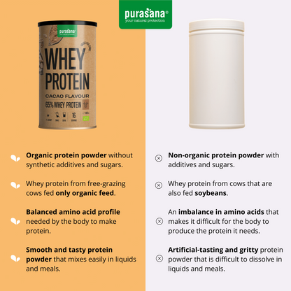 Whey Protein Cacao