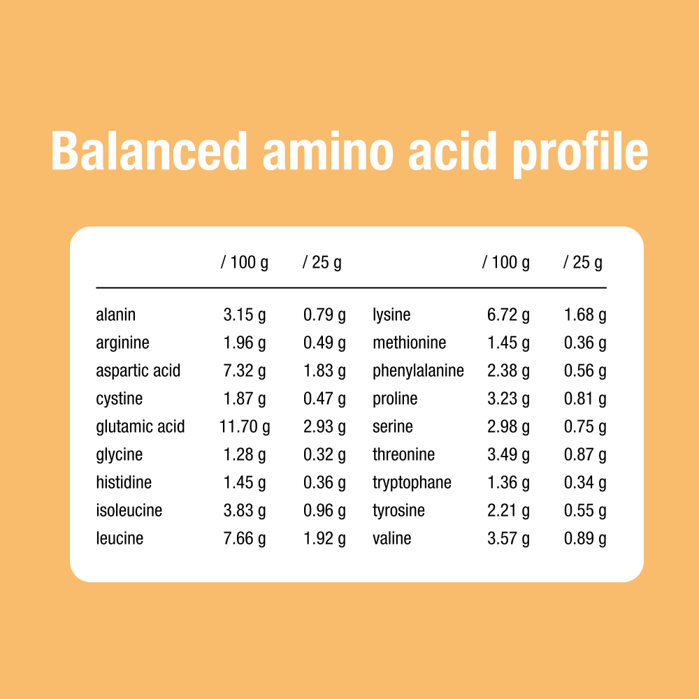 Whey Protein Cacao