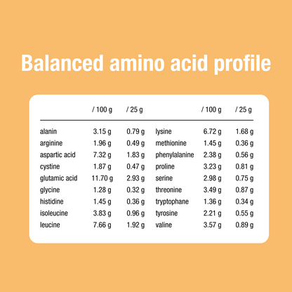 Whey Protein Cacao