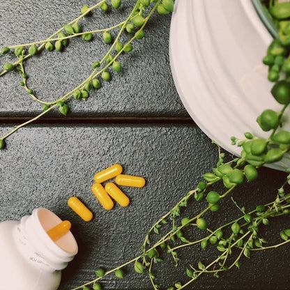 Vitamin B+