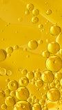 Cannabis Oil 10% CBD