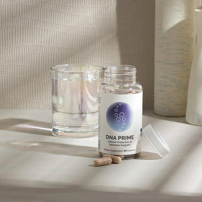DNA Prime™