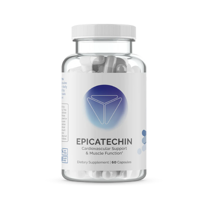 Epicatechin - Muscle Growth Support