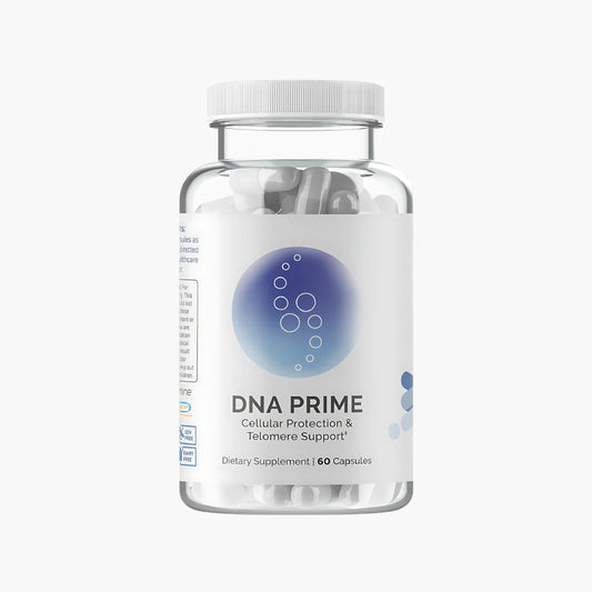 DNA PRIME