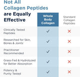 Whole Body Collagen® 390 g powder