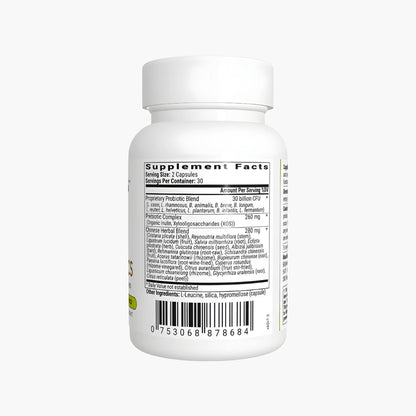 Cognibiotics - BIOptimizers - B. Health Shop