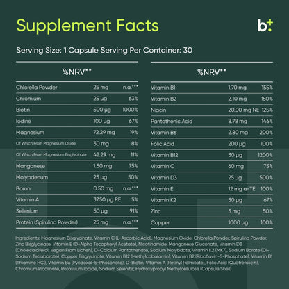 Daily Essentials - Moleqlar - B. Health Shop