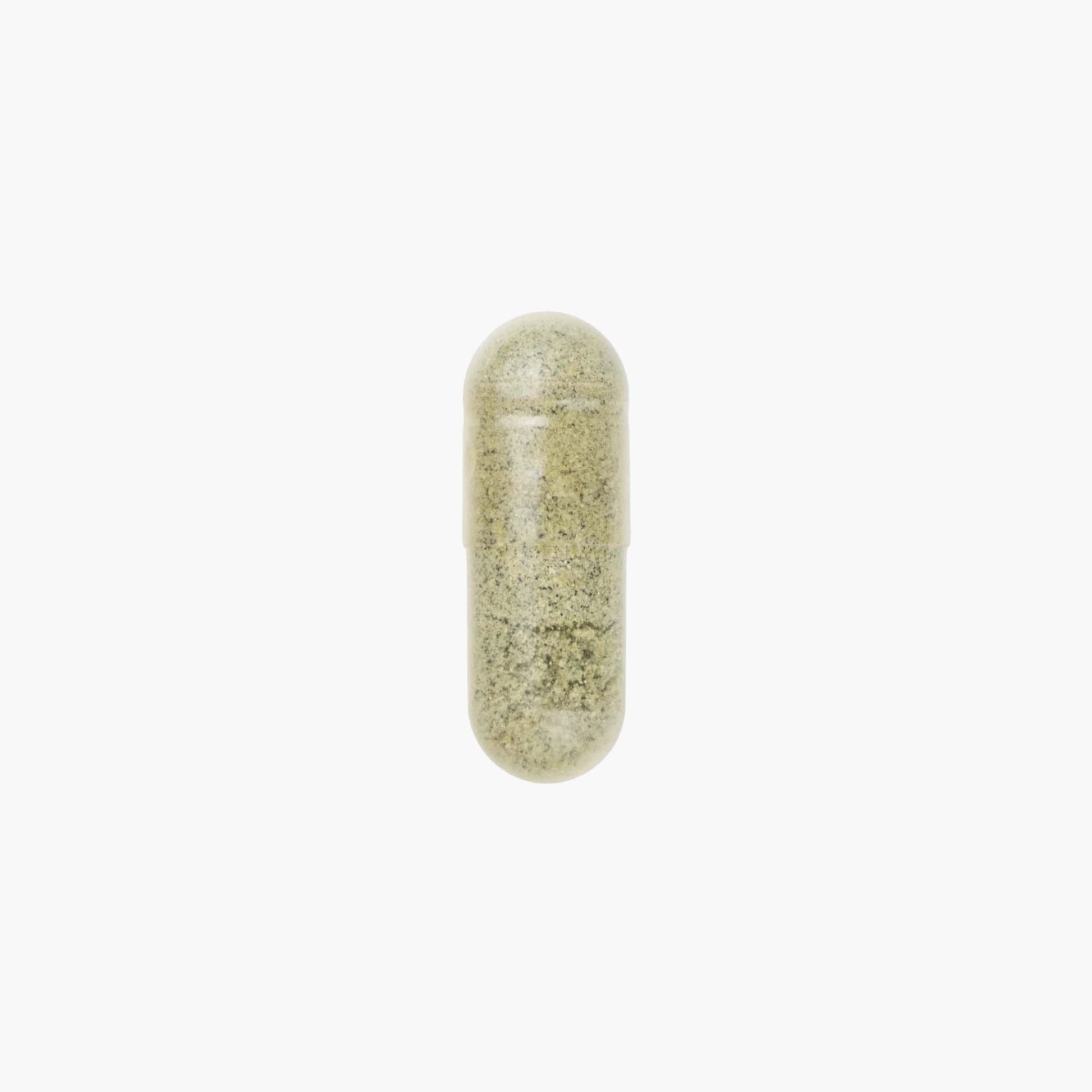 Daily Essentials - Moleqlar - B. Health Shop