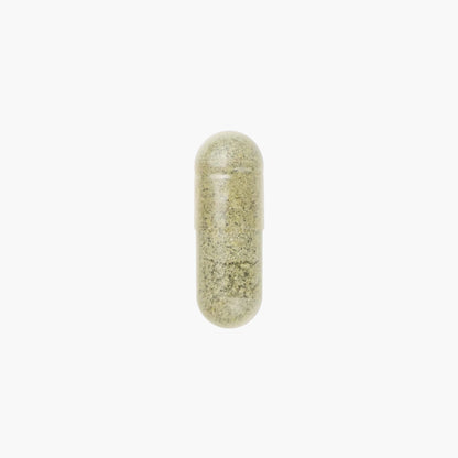 Daily Essentials - Moleqlar - B. Health Shop