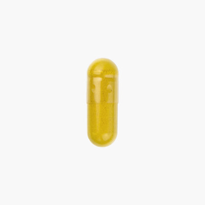 Fisetin Capsules - Moleqlar - B. Health Shop