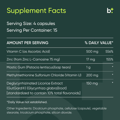 GastroMend - HP™ 60 capsules - Design Health - B. Health Shop