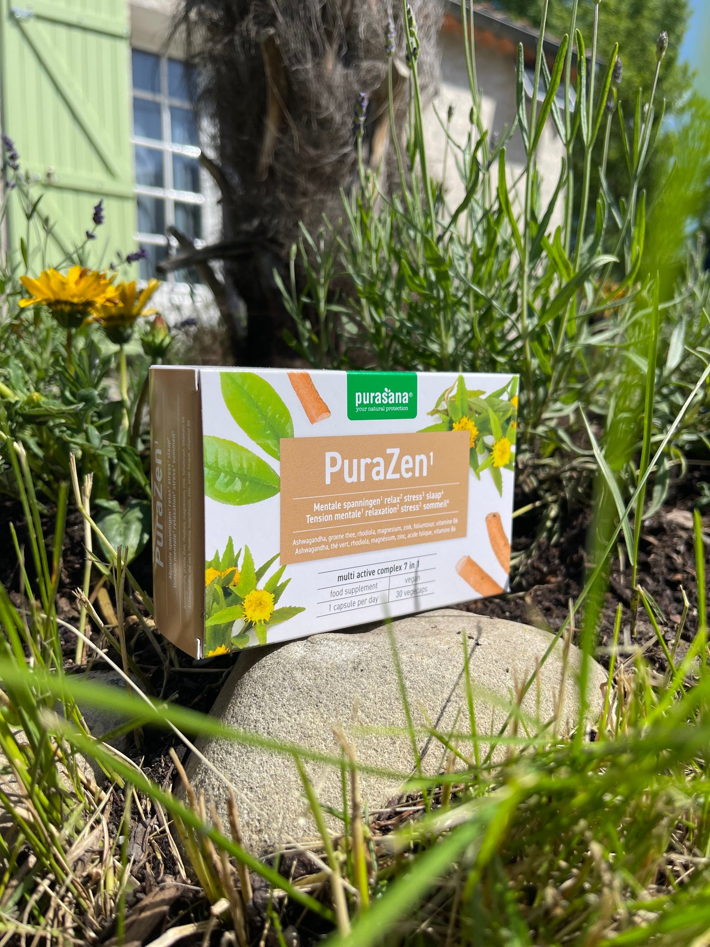 PuraZen