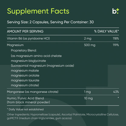 Magnesium Breakthrough - BIOptimizers - B. Health Shop