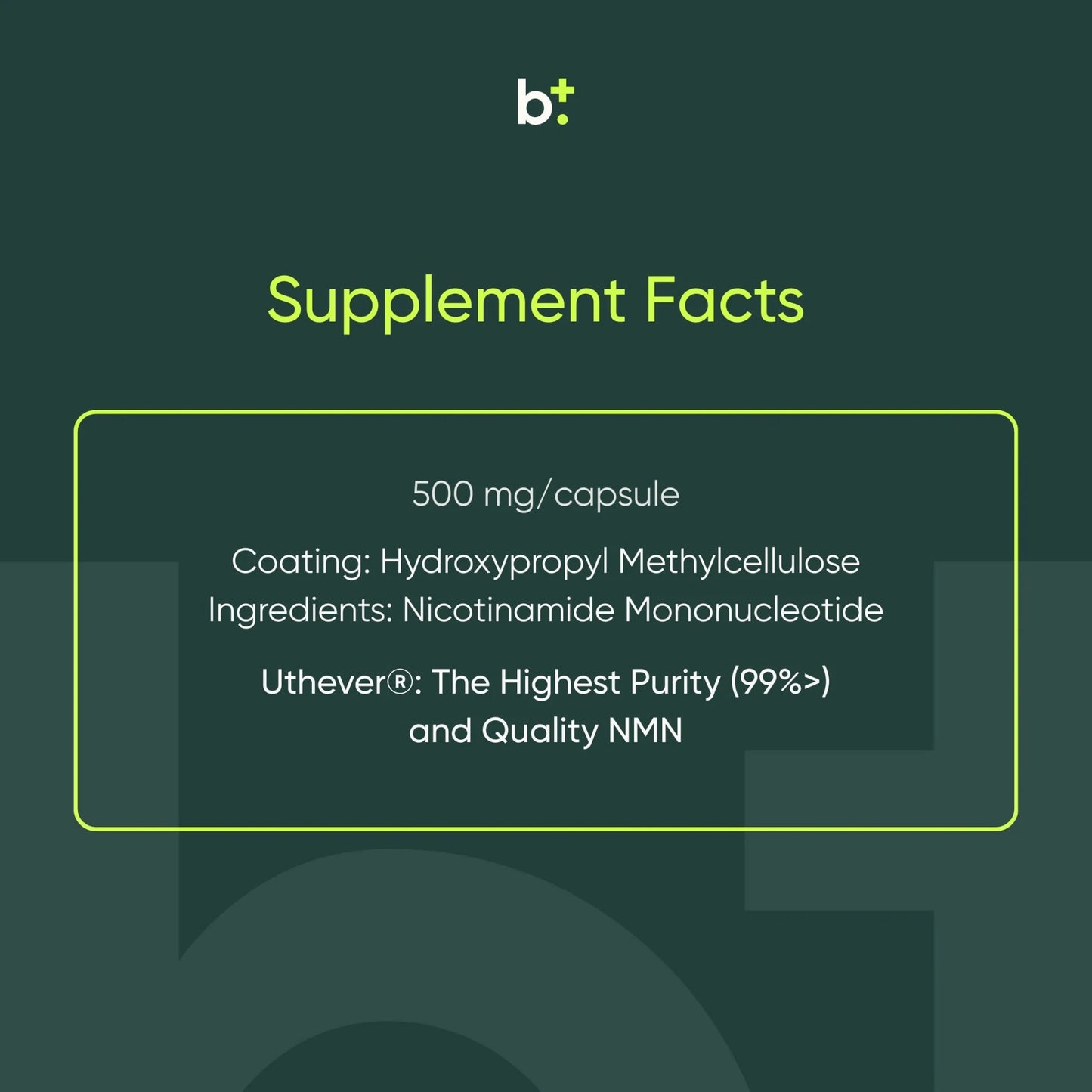 NMN (500mg) - Moleqlar - B. Health Shop