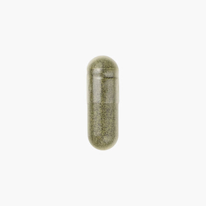 Spermidin Pro - Moleqlar - B. Health Shop