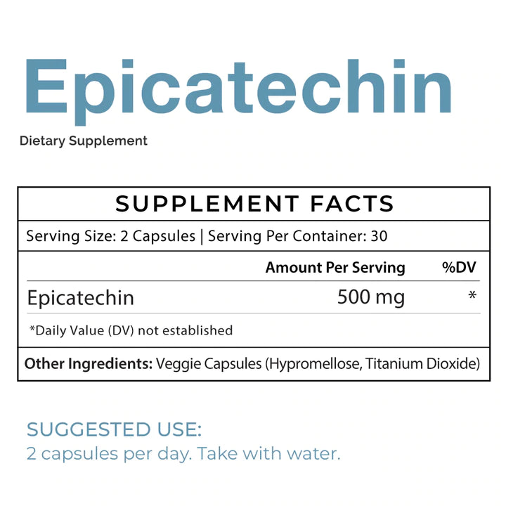 Epicatechin - Muscle Growth Support