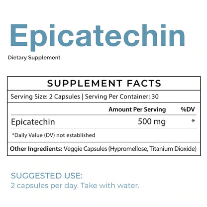 Epicatechin - Muscle Growth Support
