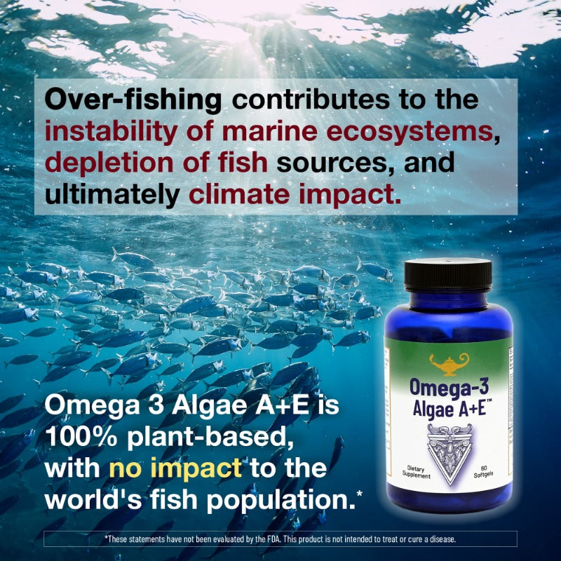 Sustainable Source of Omega-3 and Omega-6